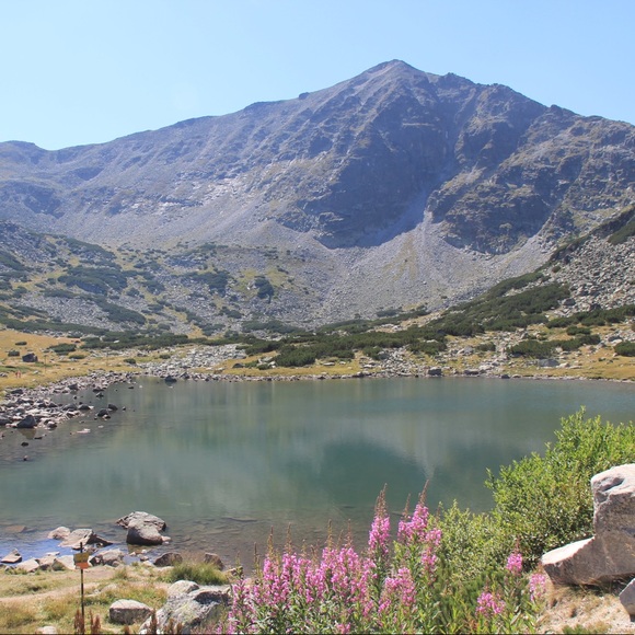 Meet your Posher, Nikol - Picture 1 of 1